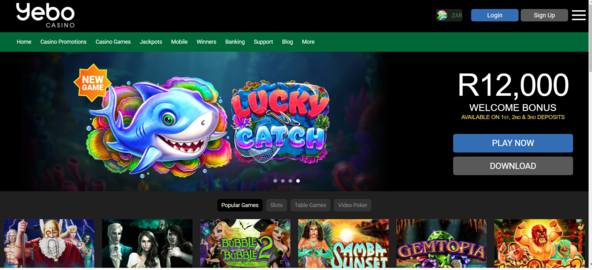 Casino funky monkey