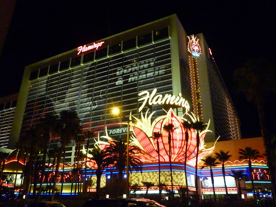 m life online casino