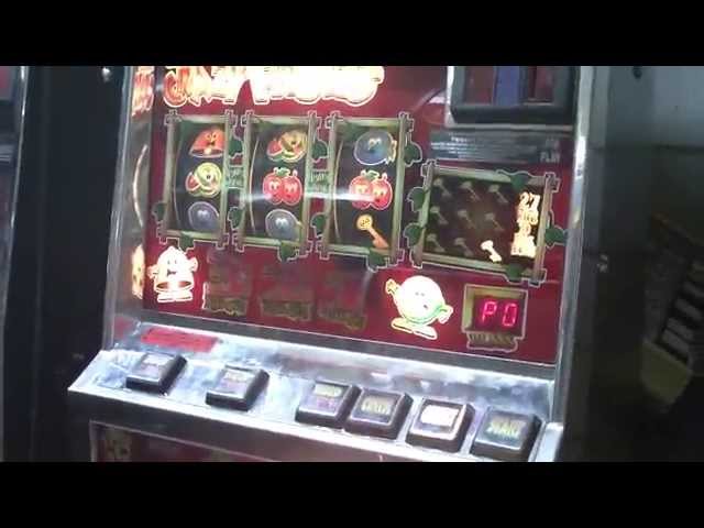 casino Viks no deposit bonus