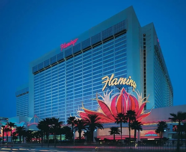 casino Vikings Go Wild Rtp